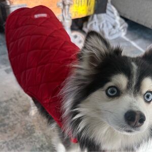 Coleman Red Dog Puffer Jacket